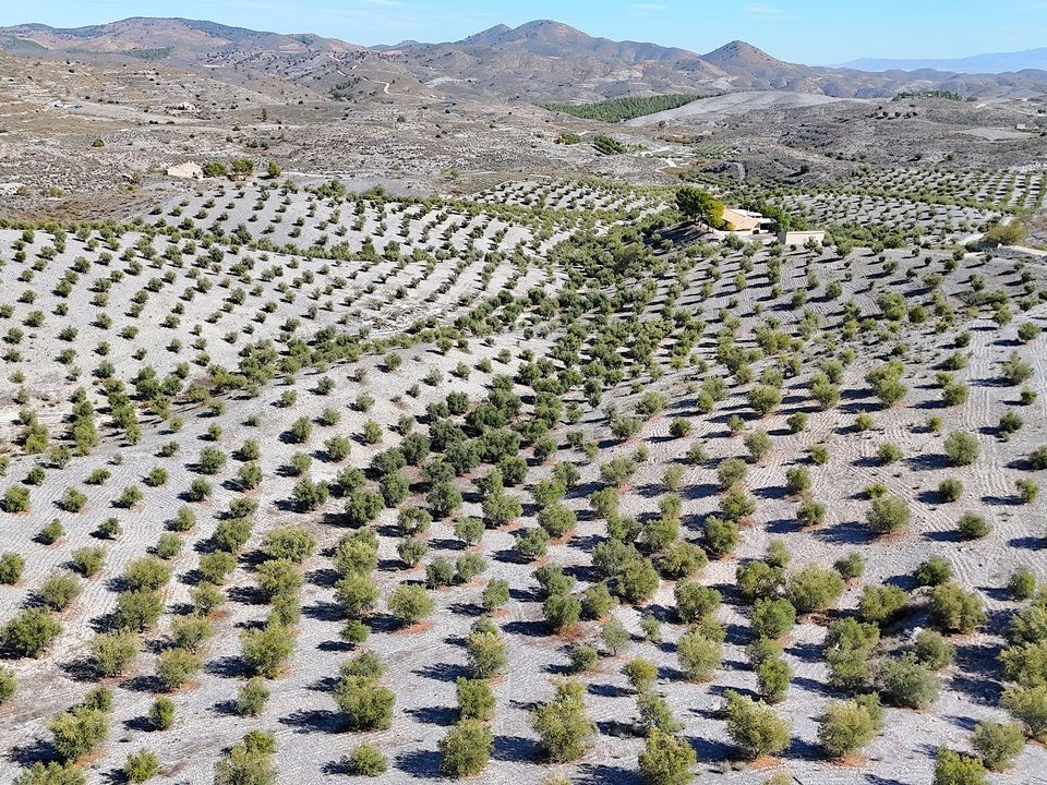 Herregård i Puerto Lumbreras, Murcia - bilde 4